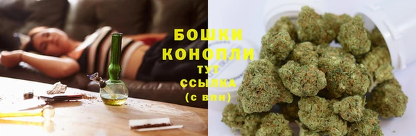 PSILOCYBIN Алексин