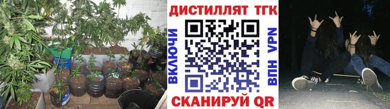 ТГК Wax  Лобня 