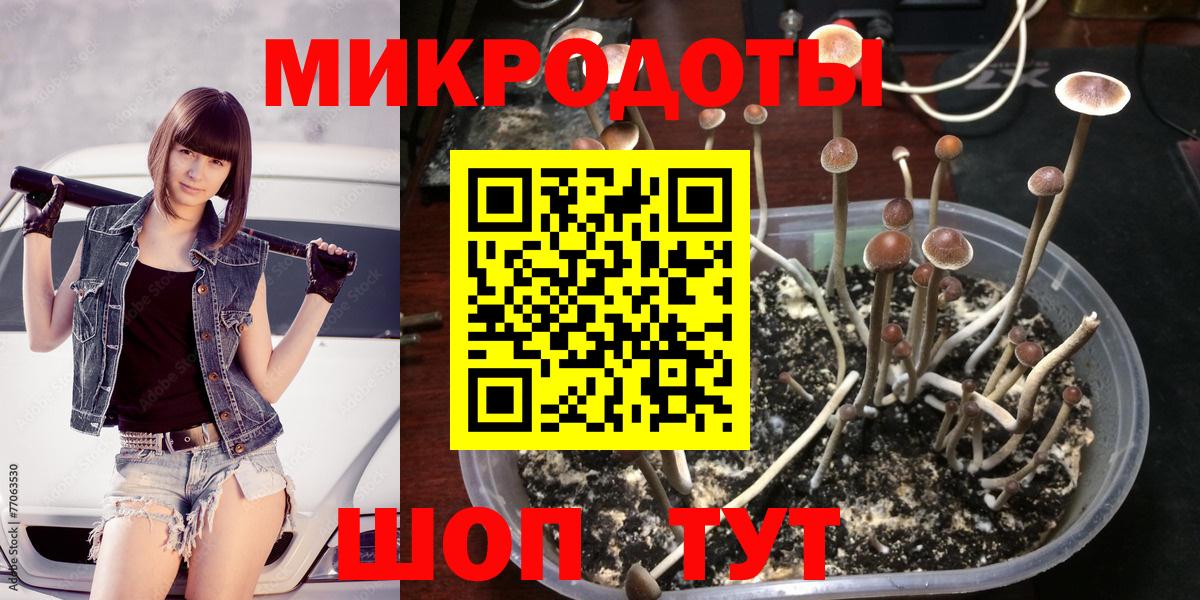 Лобня  Псилоцибиновые грибы GOLDEN TEACHER  Вход с VPN 